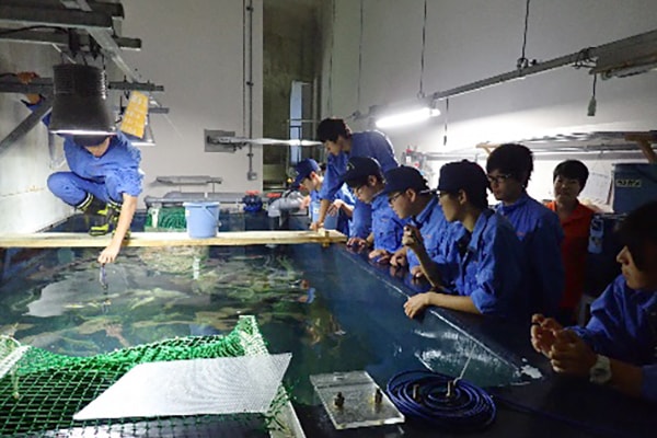 加茂水産高校の取り組み　水族館学概論の写真2