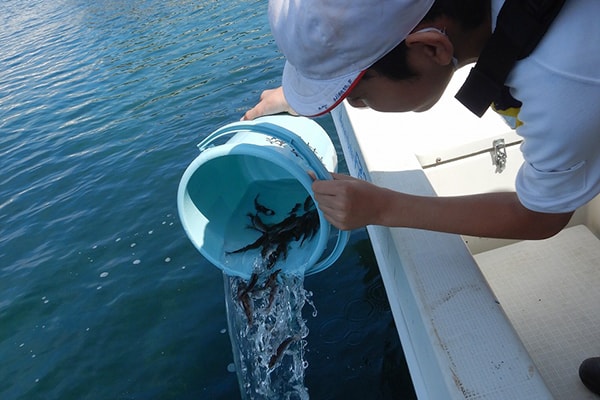 大原高等学校の取り組み 放流の写真
