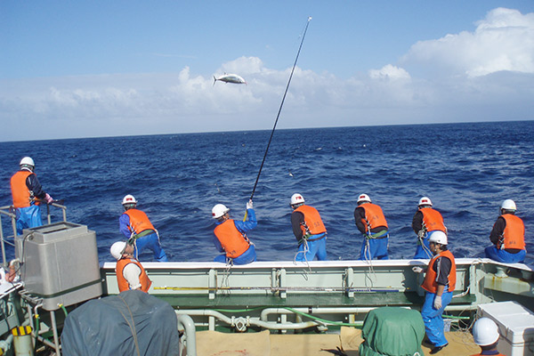 三谷水産高等学校の取り組み 写真1