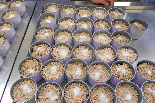 三谷水産高等学校の取り組み 写真2